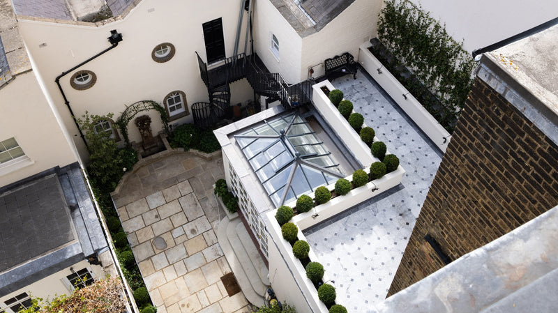 Belgravia Revival