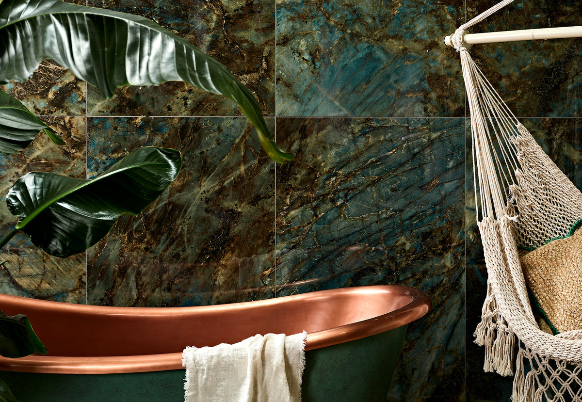 Rainforest Collection