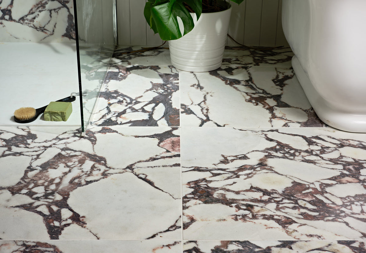 Savoy Collection