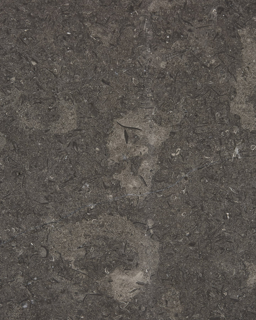 Kimmeridge Limestone Honed Slab