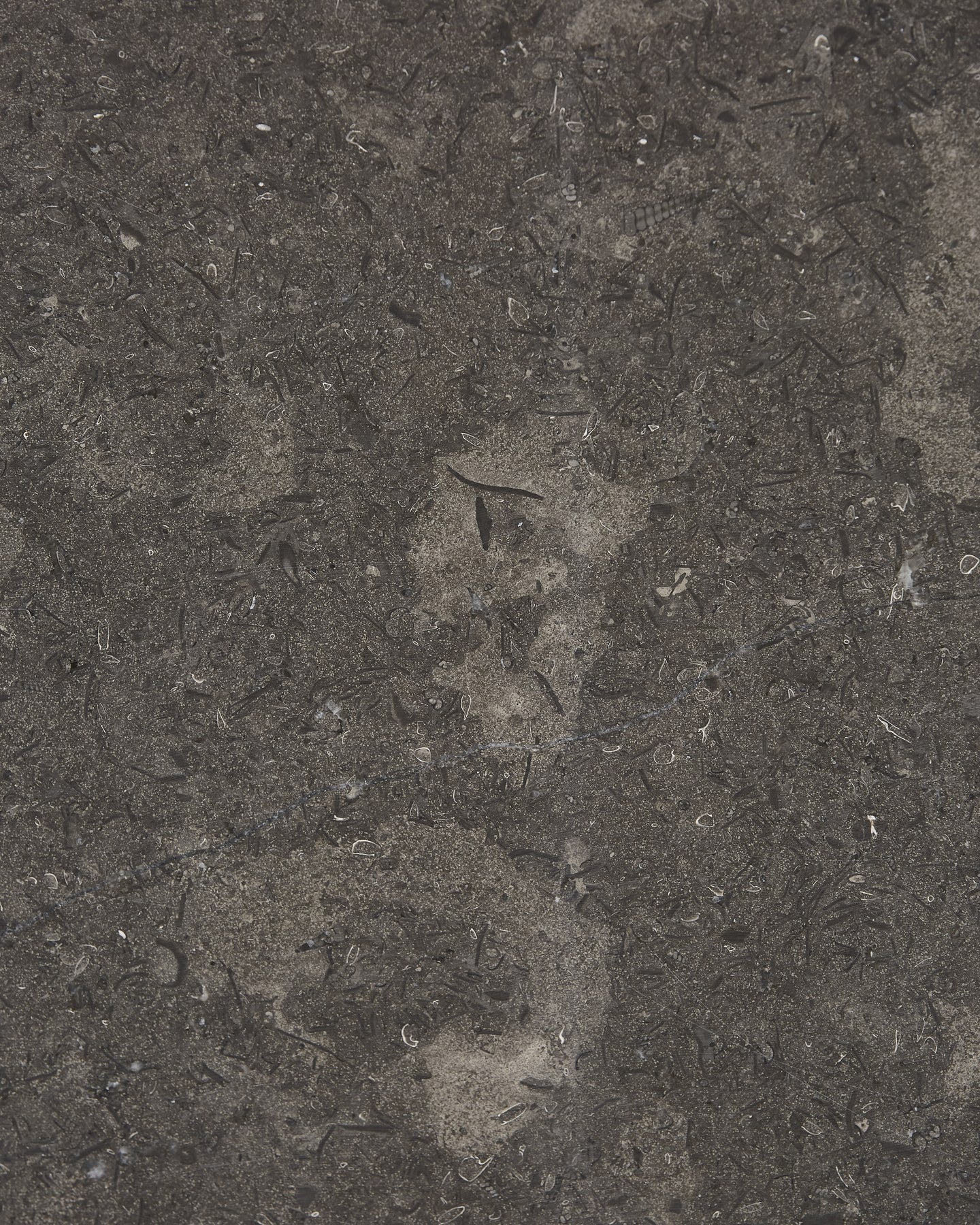 Kimmeridge Limestone Honed Slab