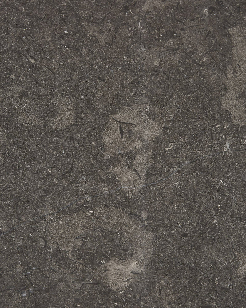 Kimmeridge Limestone Honed Slab