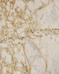 Ottoman Marble Honed Slab|ottoman-marble-polished-slab