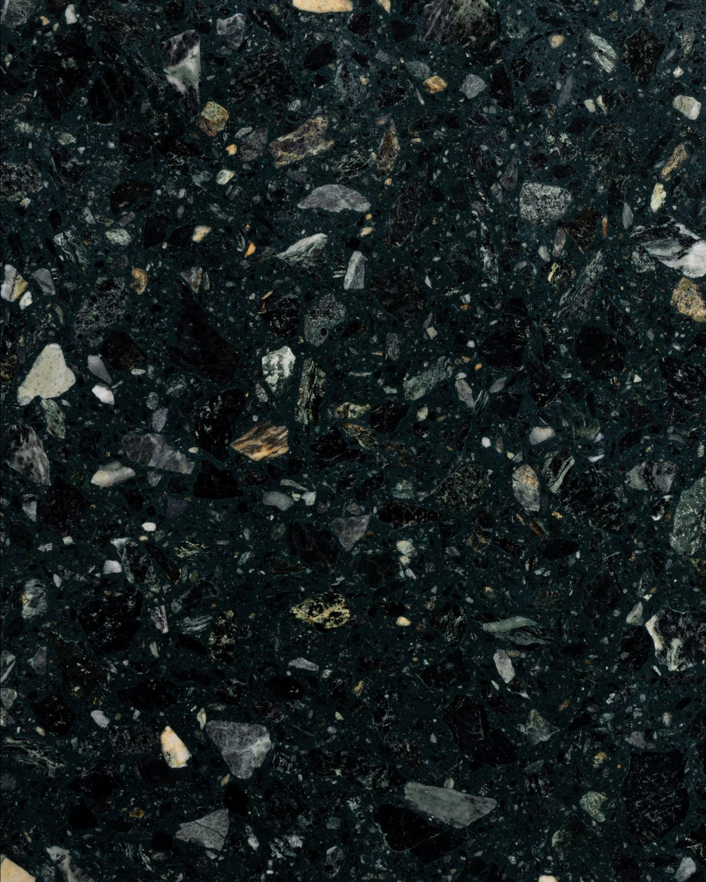 Rialto Terrazzo Foscari Honed Slab
