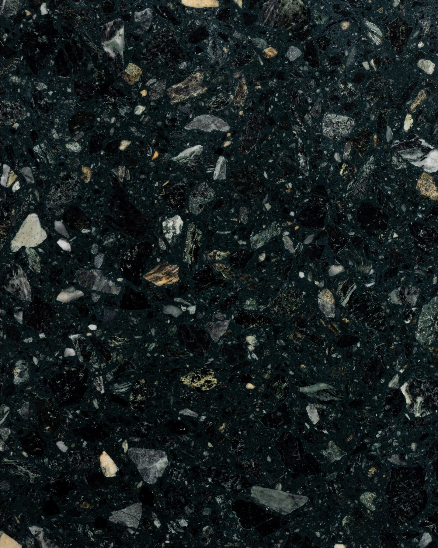 Rialto Terrazzo Foscari Honed Slab