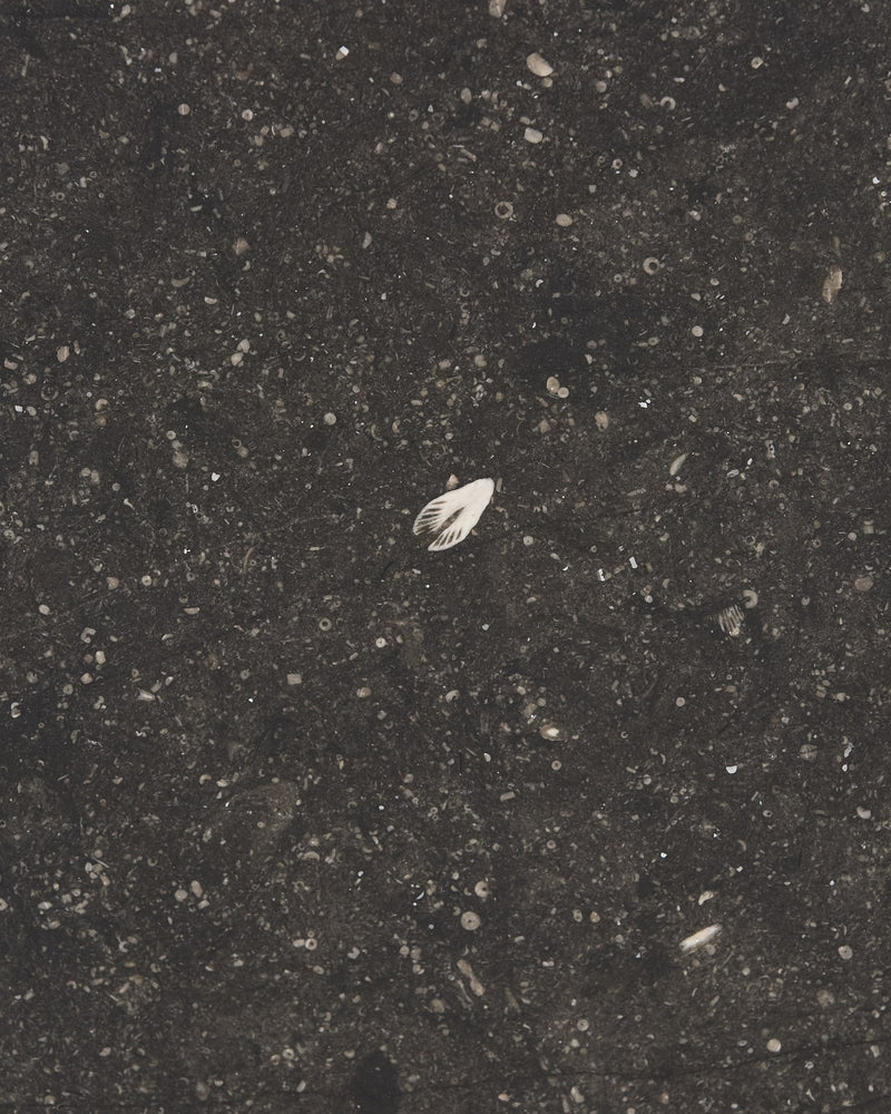 Tora Blue Honed Limestone Slab