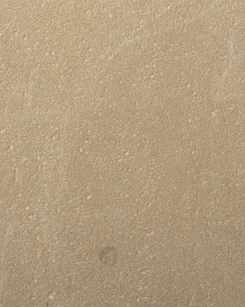 Trafalgar Sandstone Etched Slab