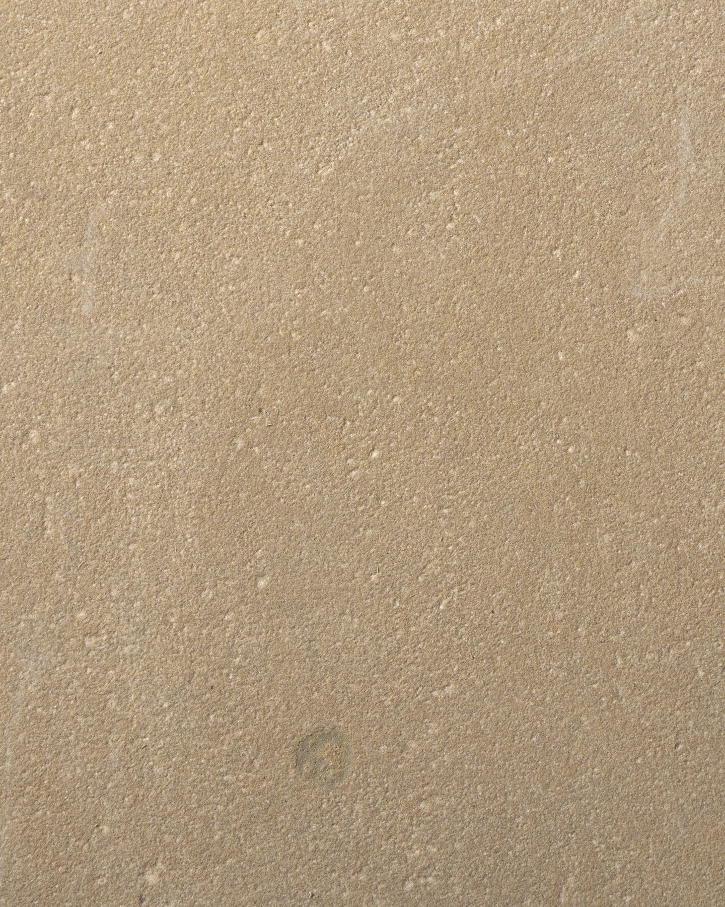 Trafalgar Sandstone Etched Slab