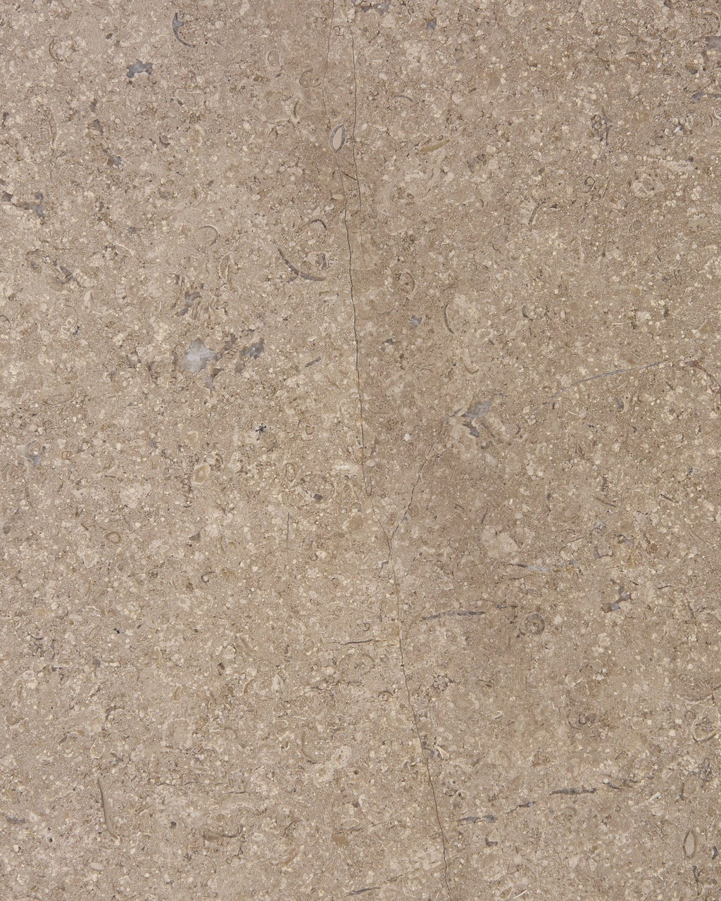 Wychwood Limestone Honed Slab