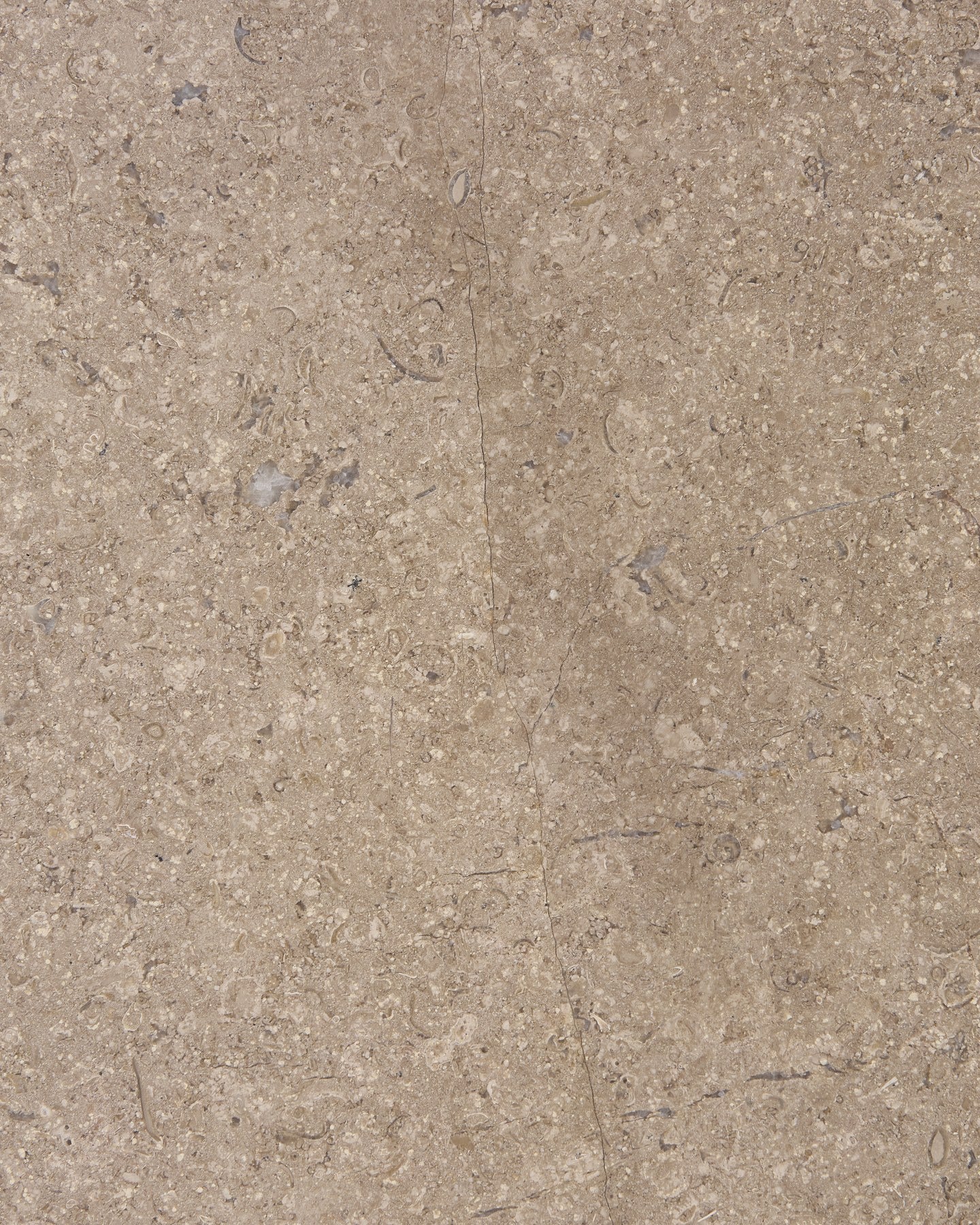 Wychwood Limestone Honed Slab