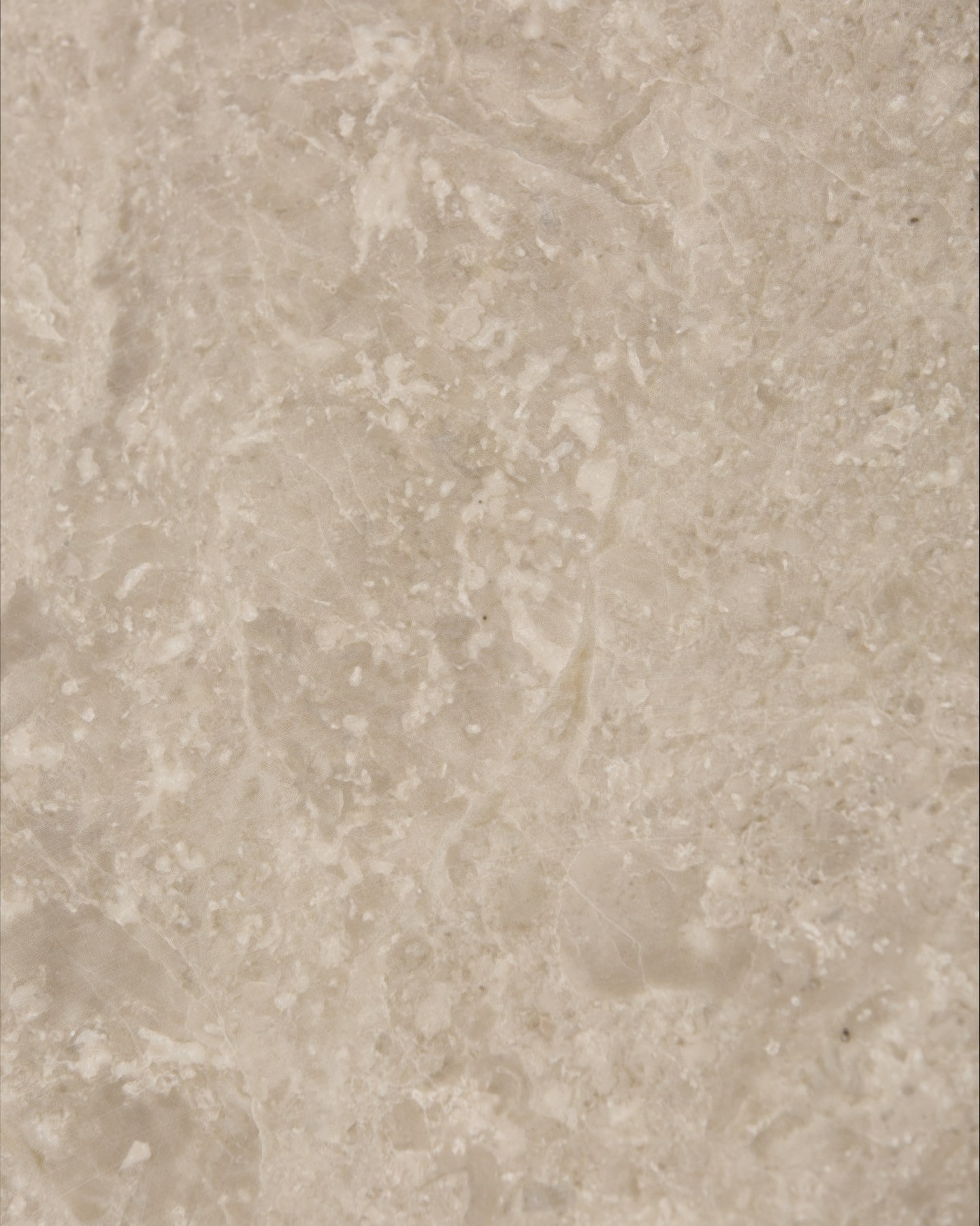 Piccadilly Limestone Honed Slab