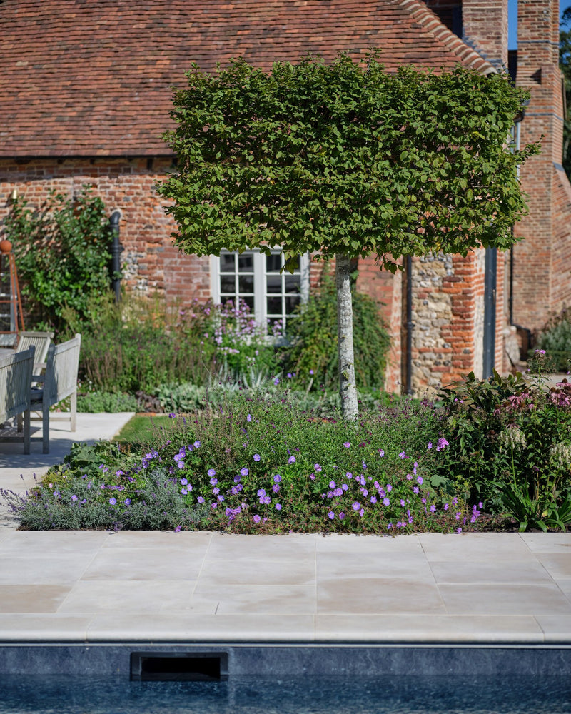 Buscot Limestone Etched Bullnose Coping|||