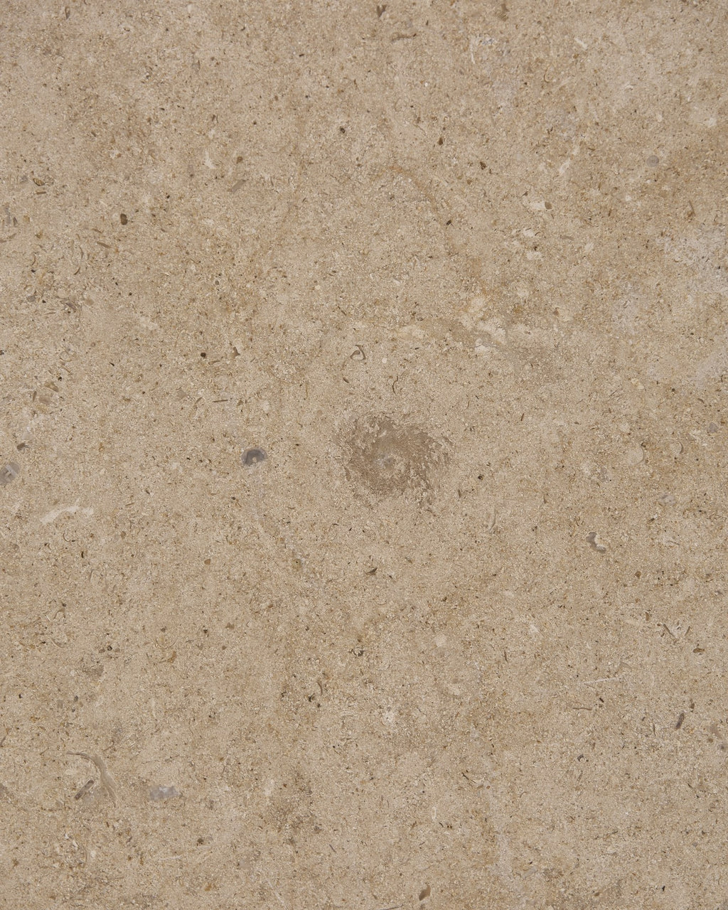 Buscot Limestone Honed Slab