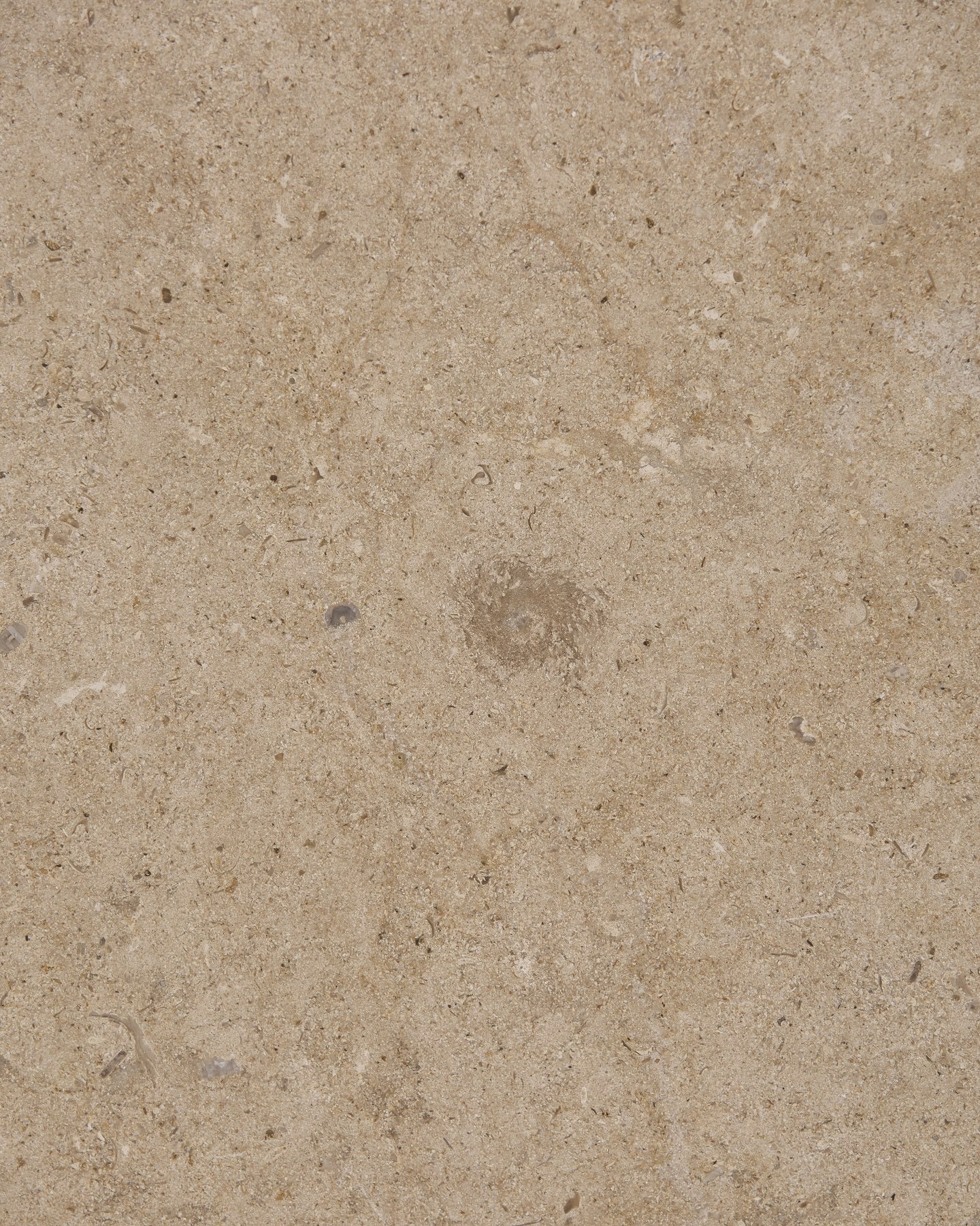 Buscot Limestone Honed Slab