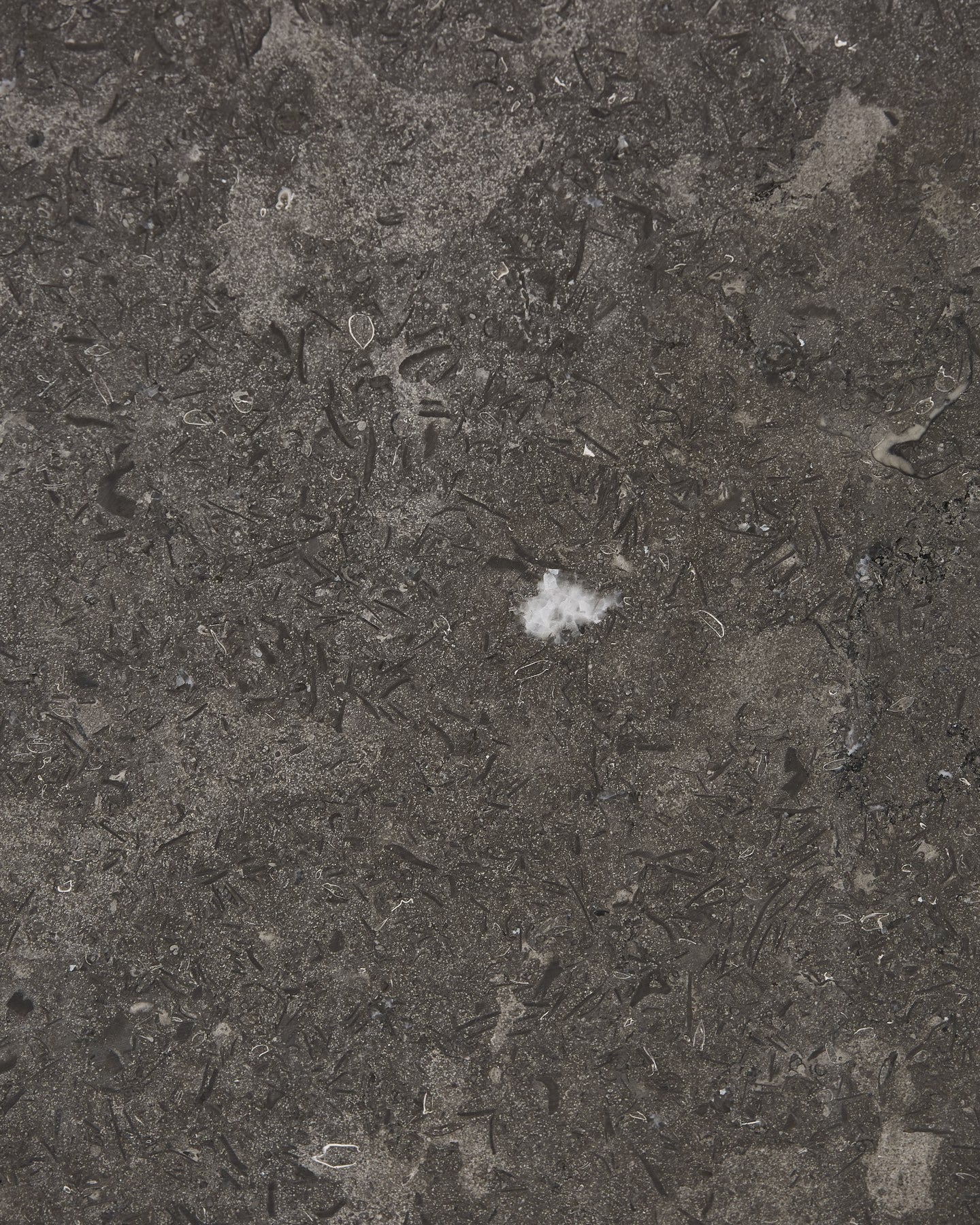 Kimmeridge Limestone Honed Slab