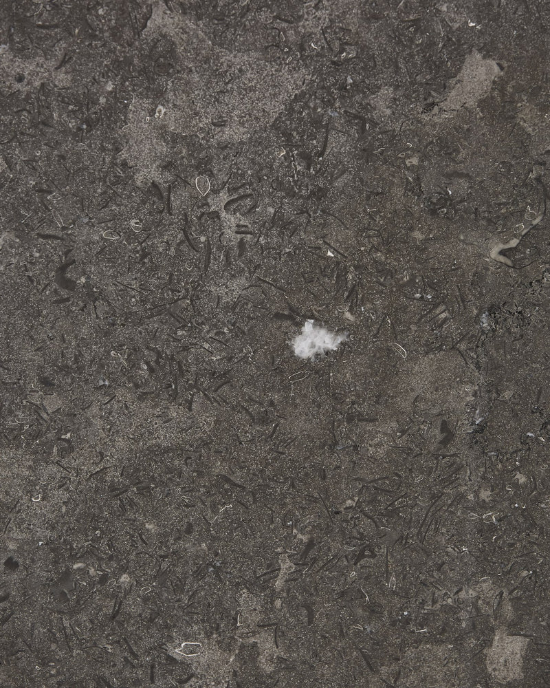 Kimmeridge Limestone Honed Slab