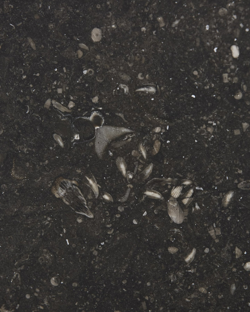 Tora Blue Honed Limestone Slab