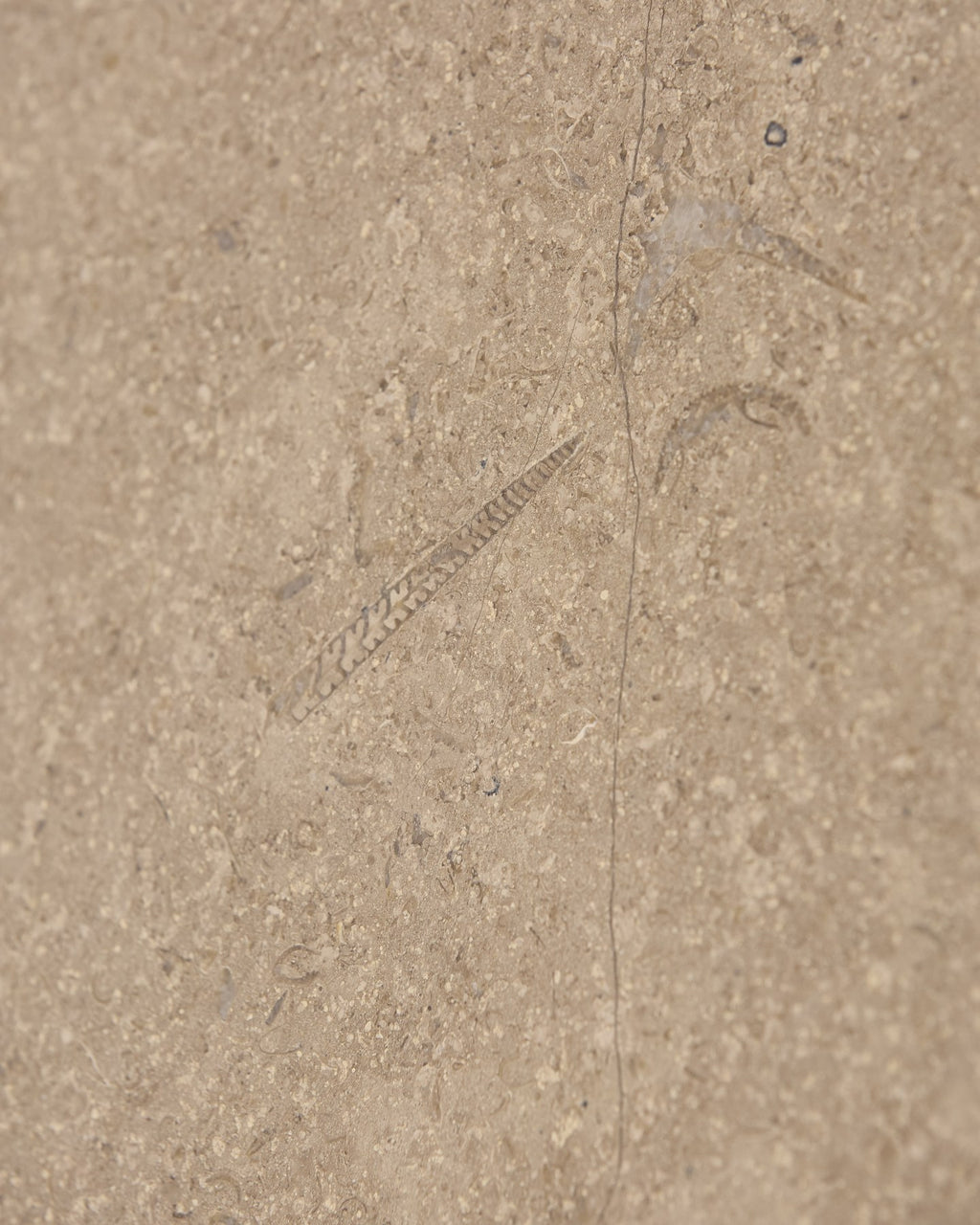 Wychwood Limestone Honed Slab