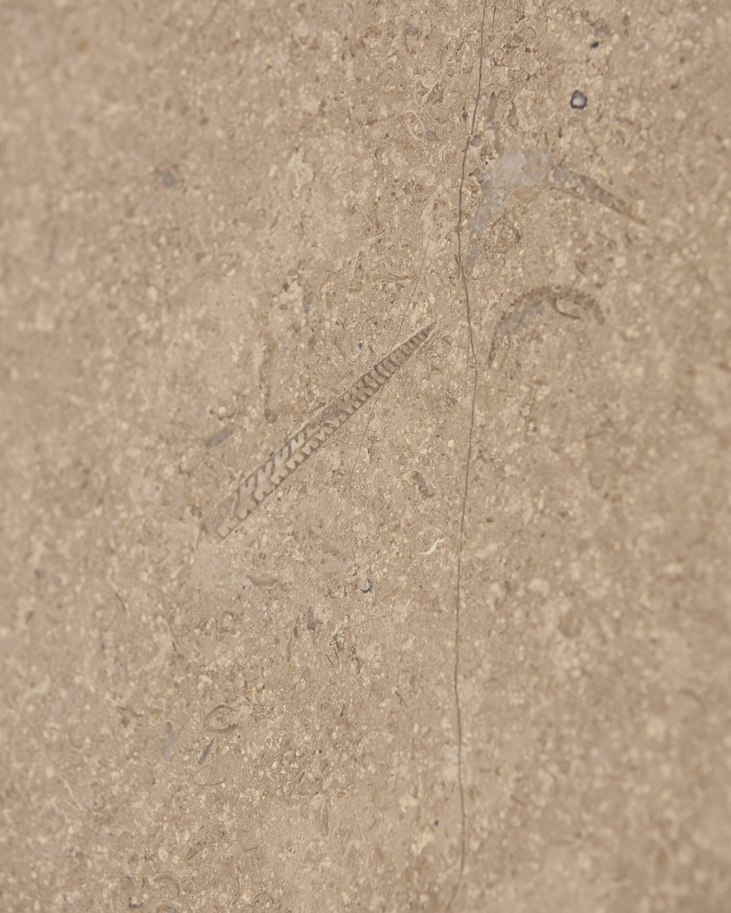Wychwood Limestone Honed Slab