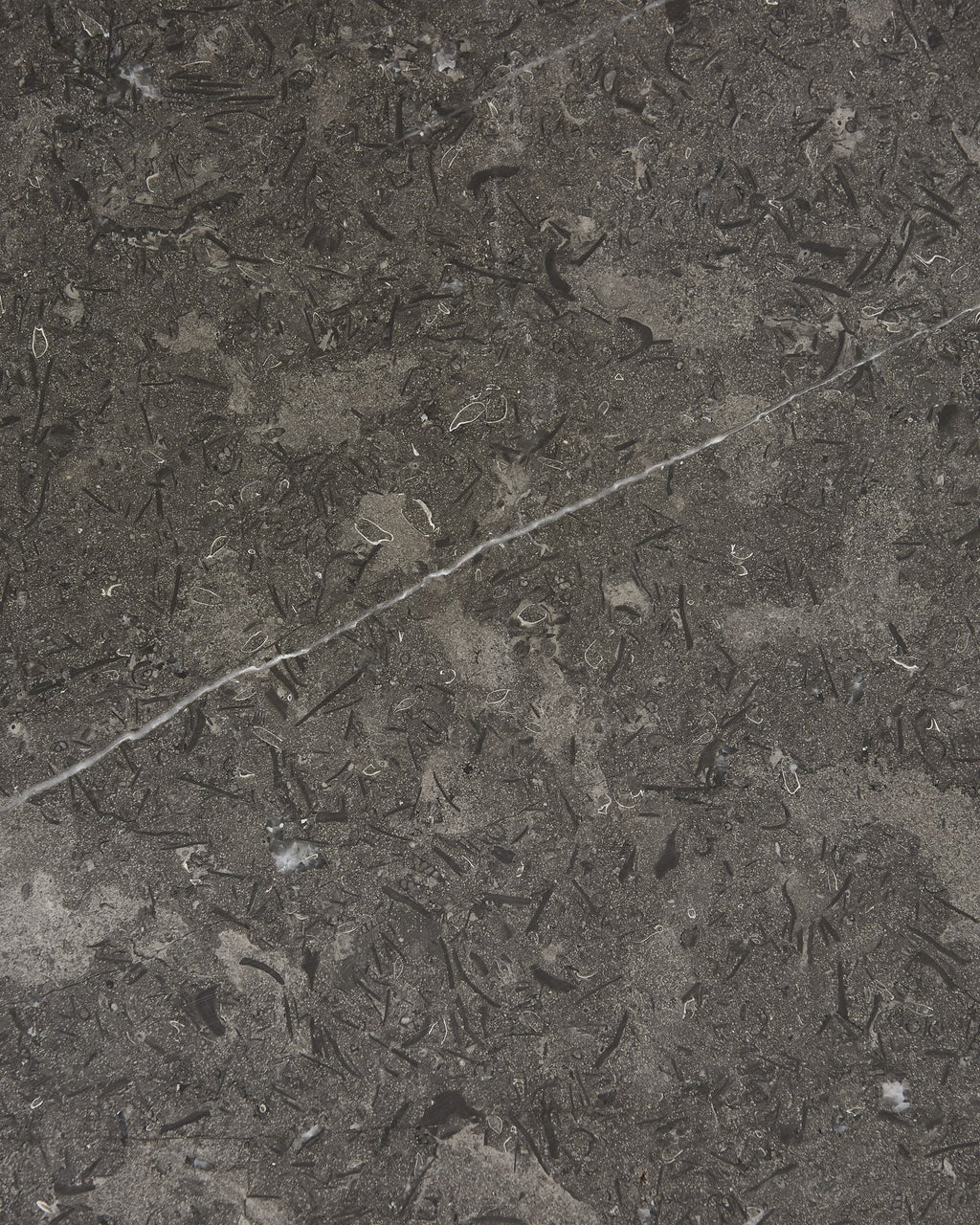 Kimmeridge Limestone Honed Slab