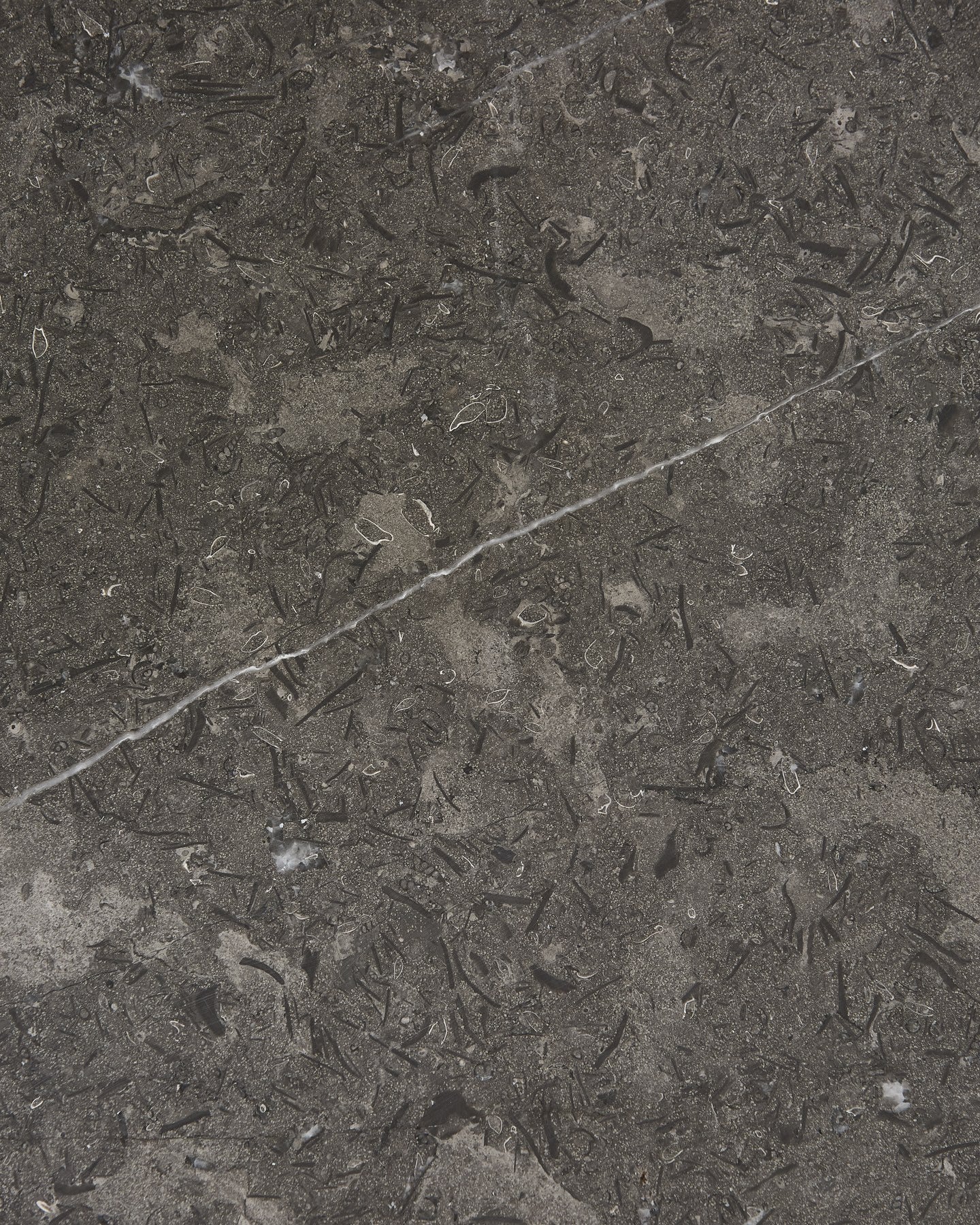 Kimmeridge Limestone Honed Slab