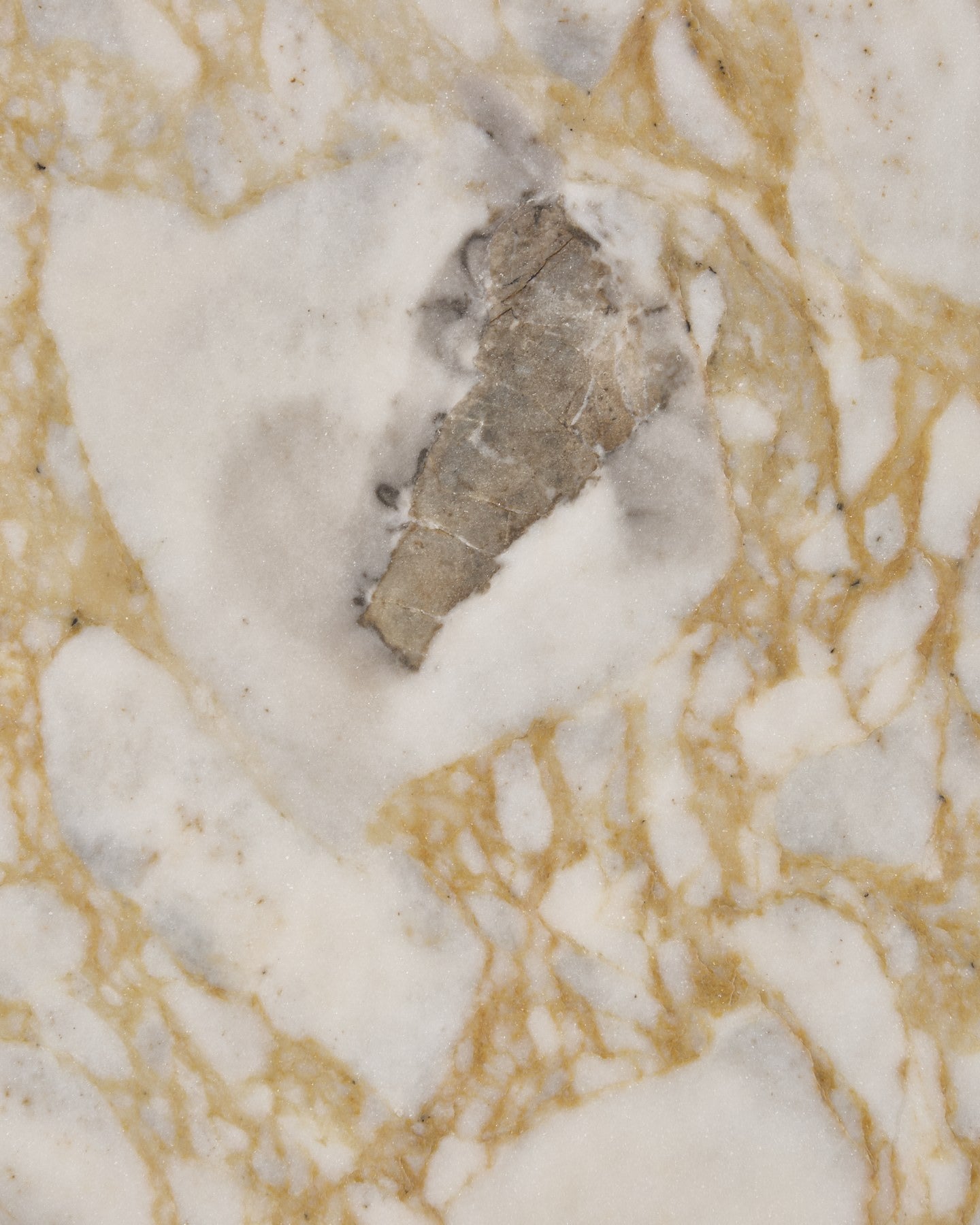 Ottoman Marble Honed Slab