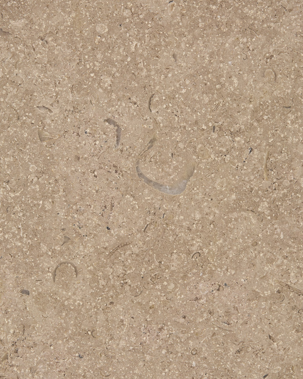 Wychwood Limestone Honed Slab