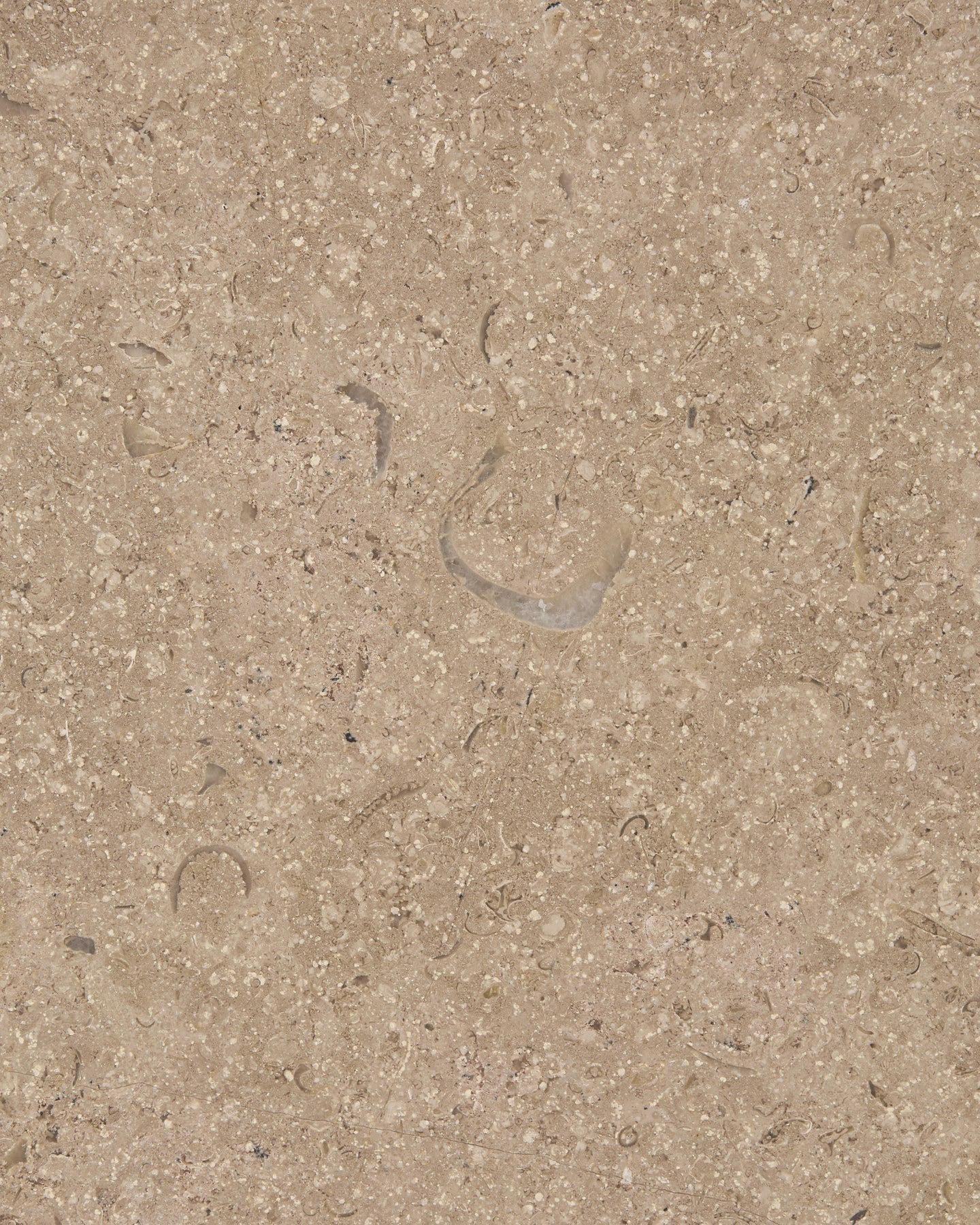 Wychwood Limestone Honed Slab