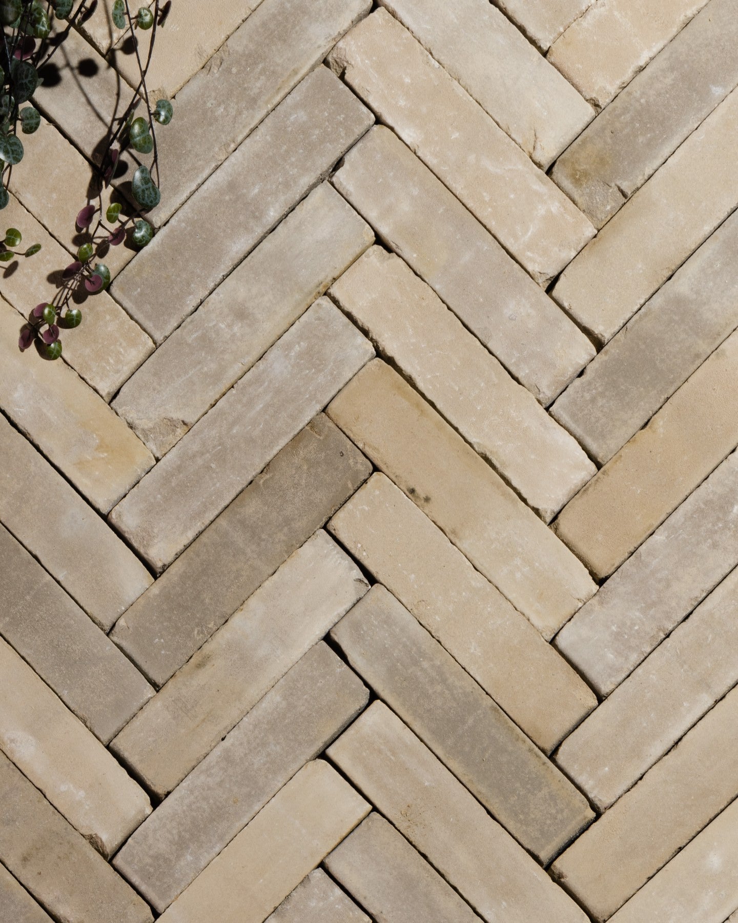 Flanders Buff Tumbled Clay Pavers