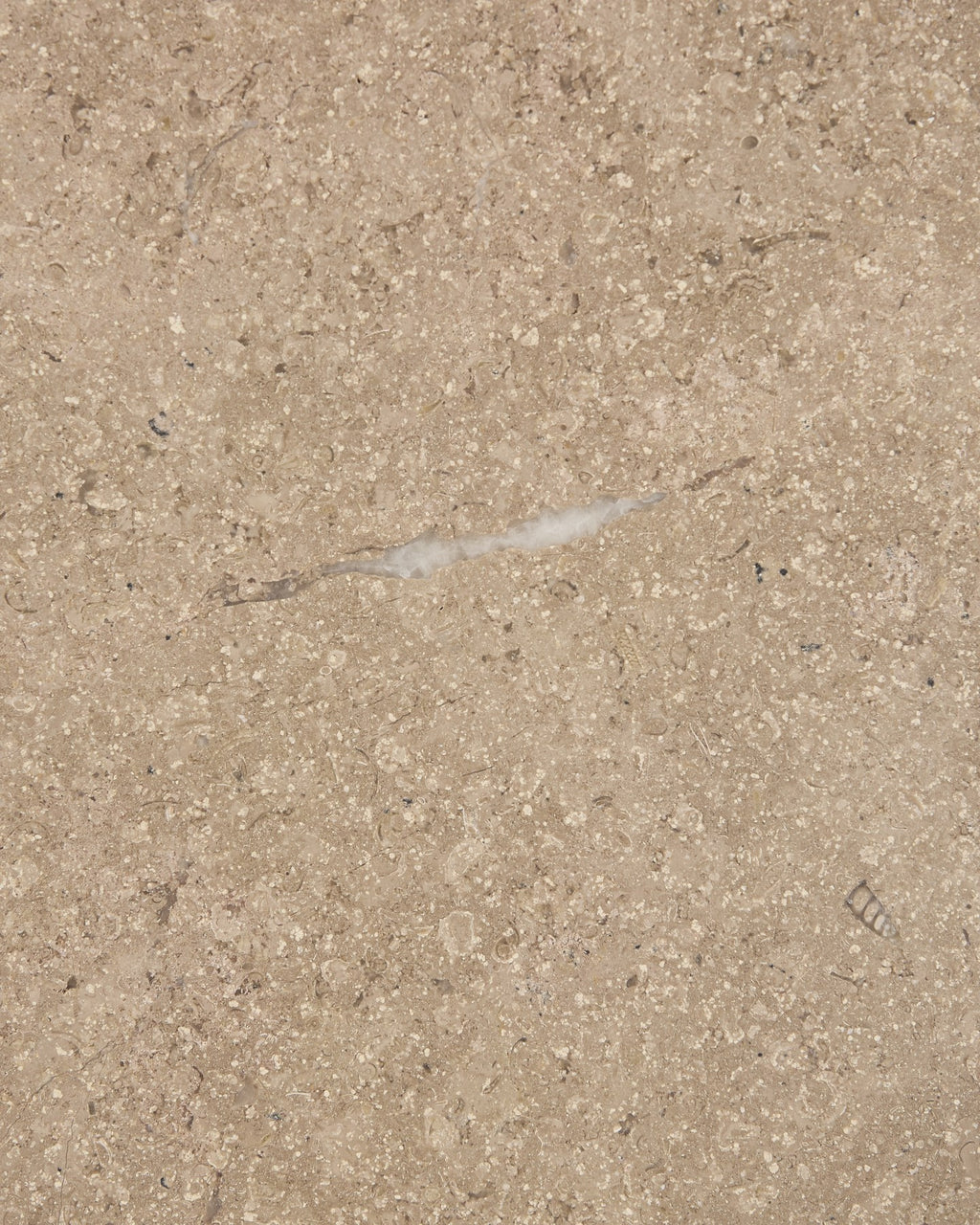 Wychwood Limestone Honed Slab