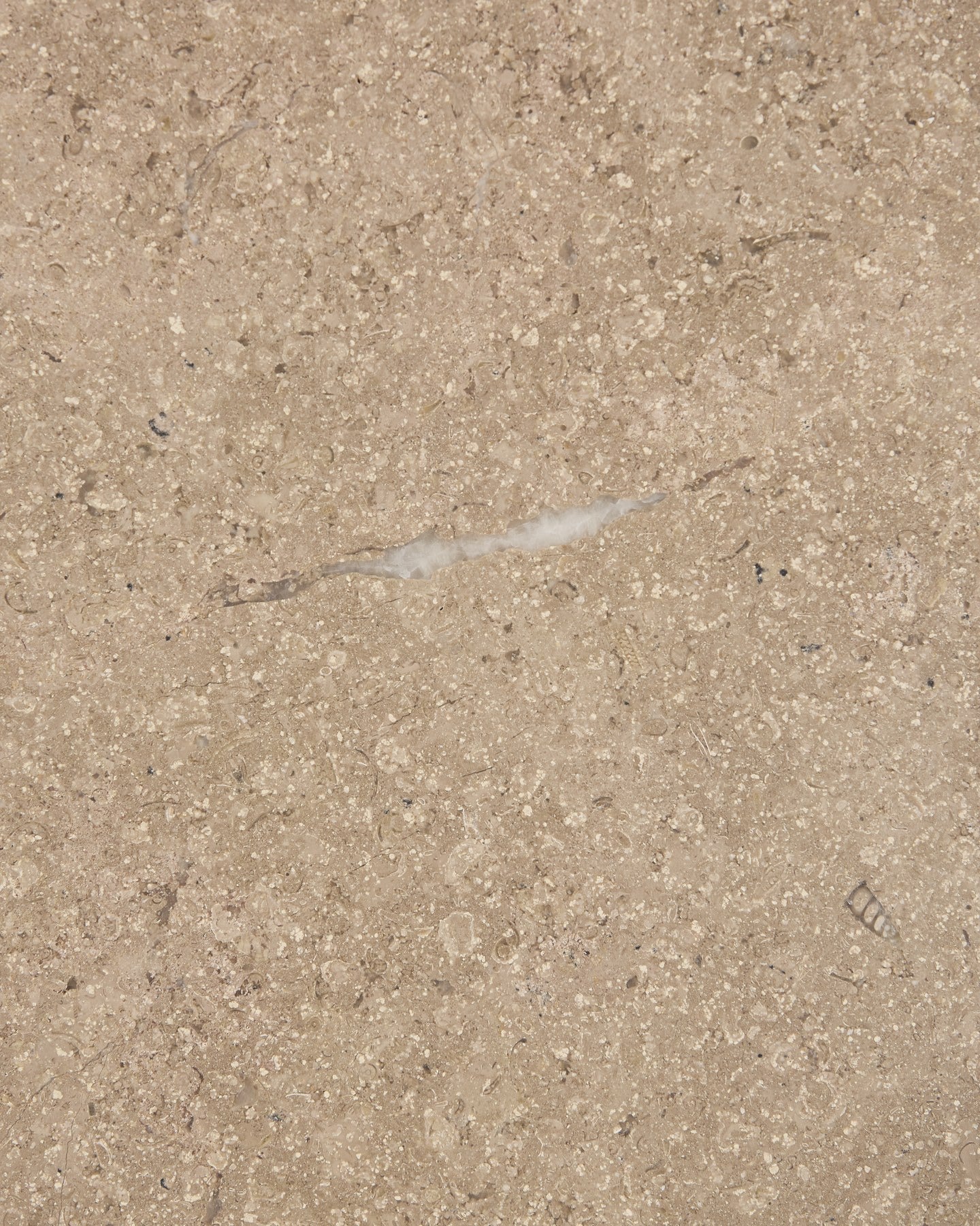 Wychwood Limestone Honed Slab
