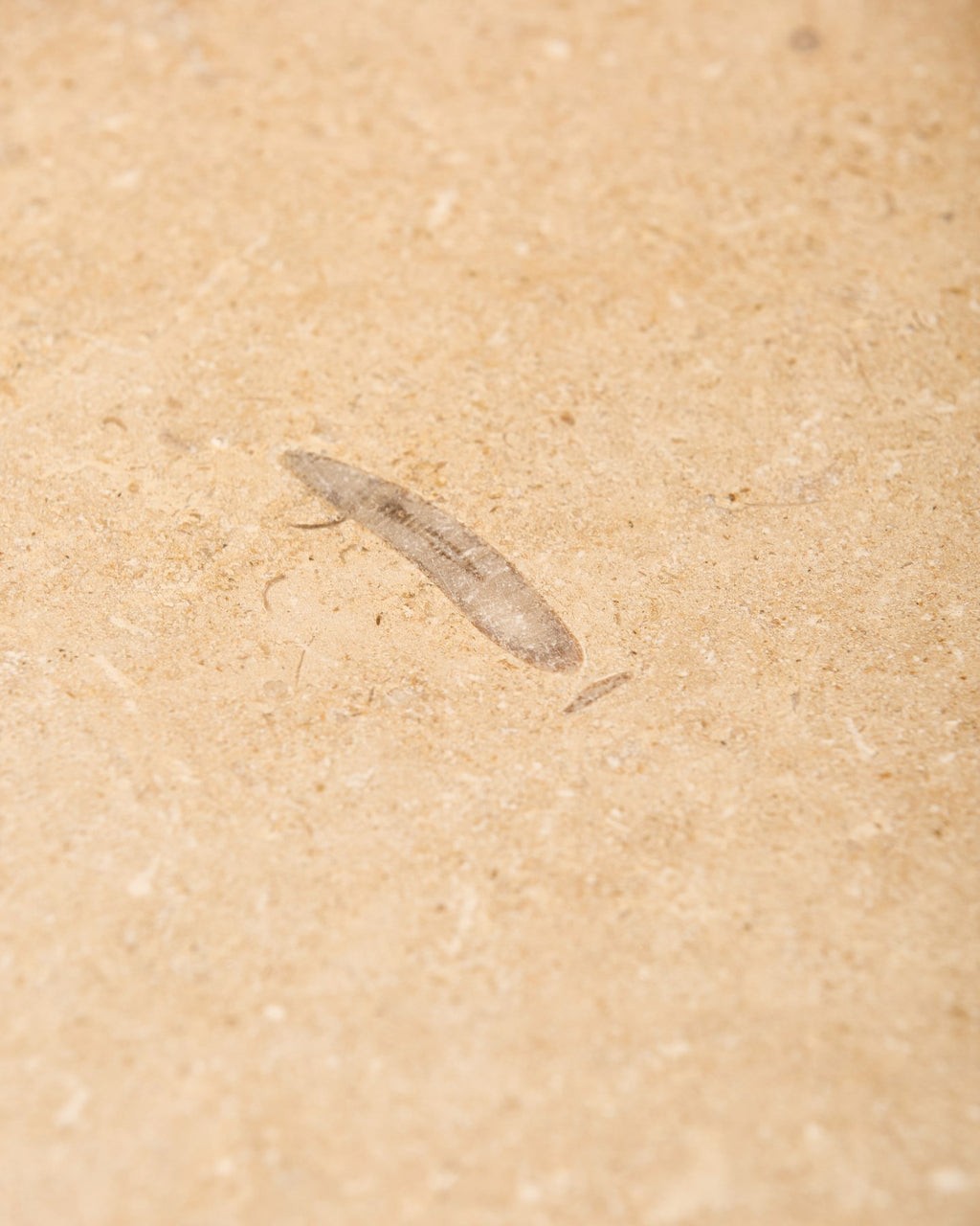 Lacock Limestone Tumbled Finish