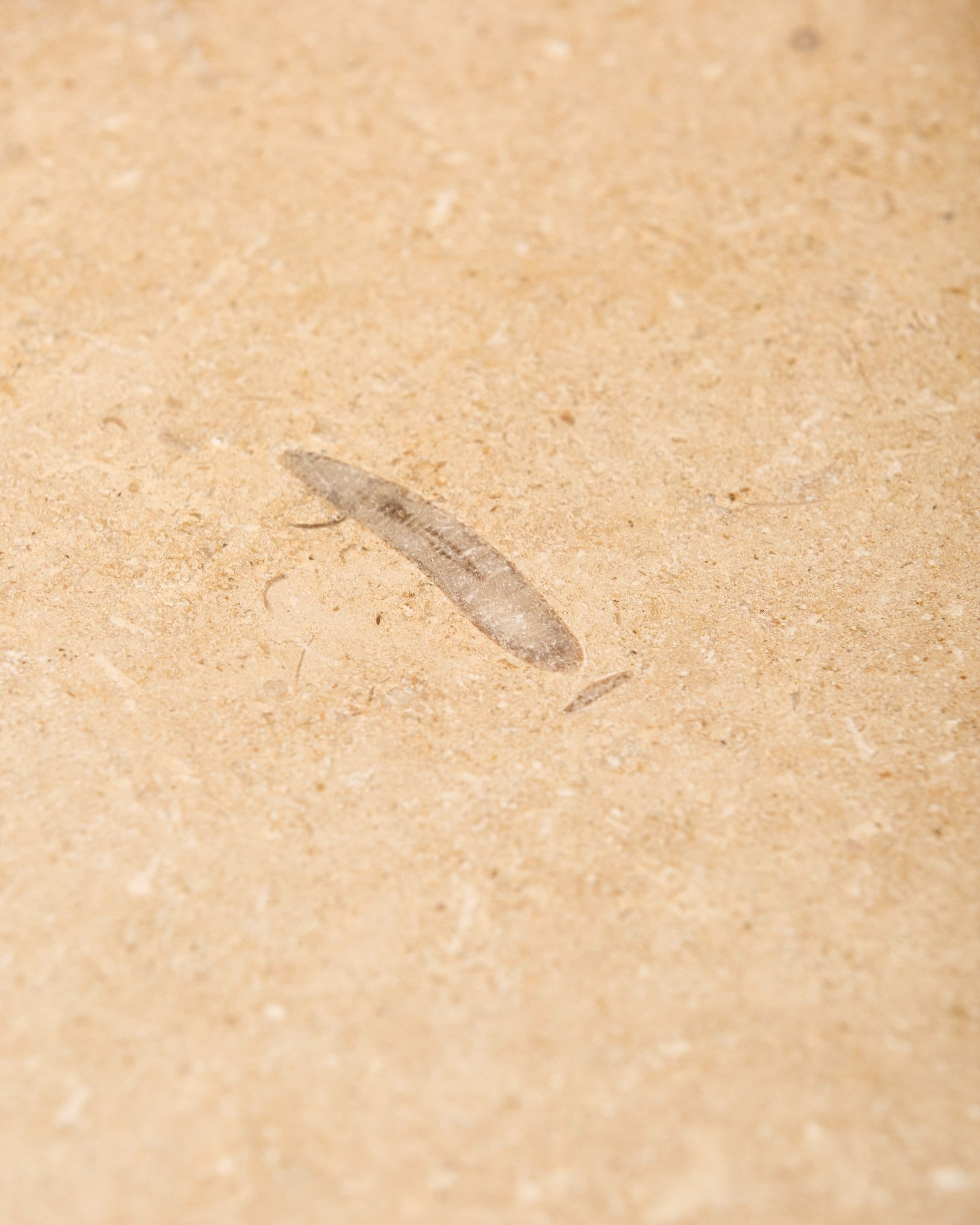 Lacock Limestone Tumbled Finish
