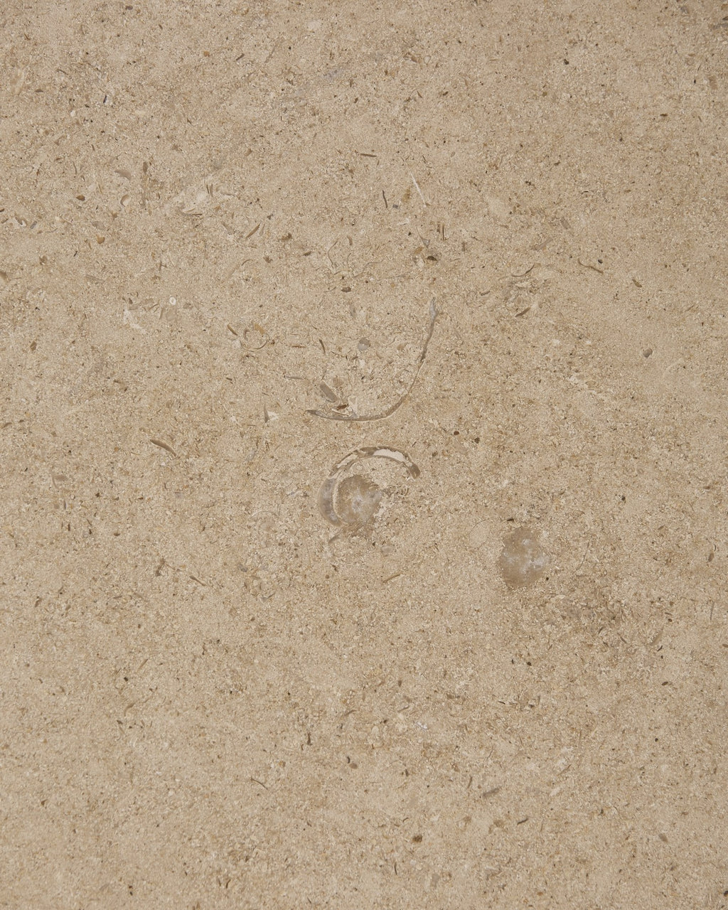 Buscot Limestone Honed Slab