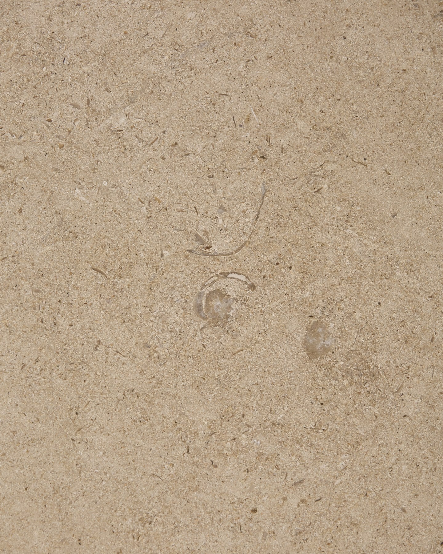 Buscot Limestone Honed Slab