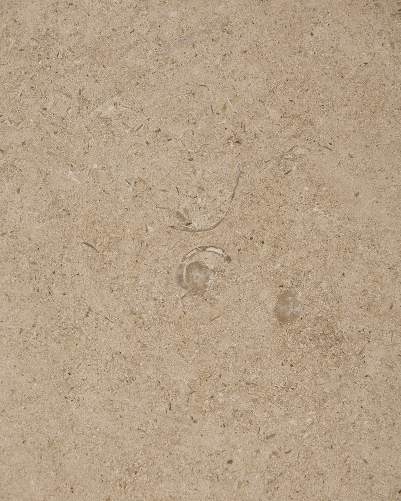 Buscot Limestone Honed Slab