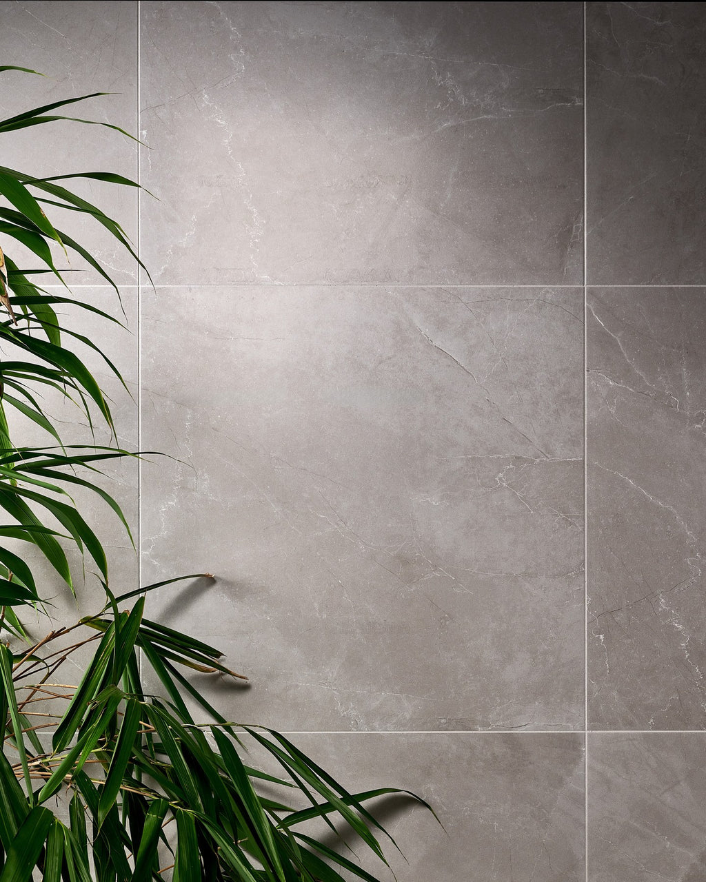 Treviso Porcelain Matt