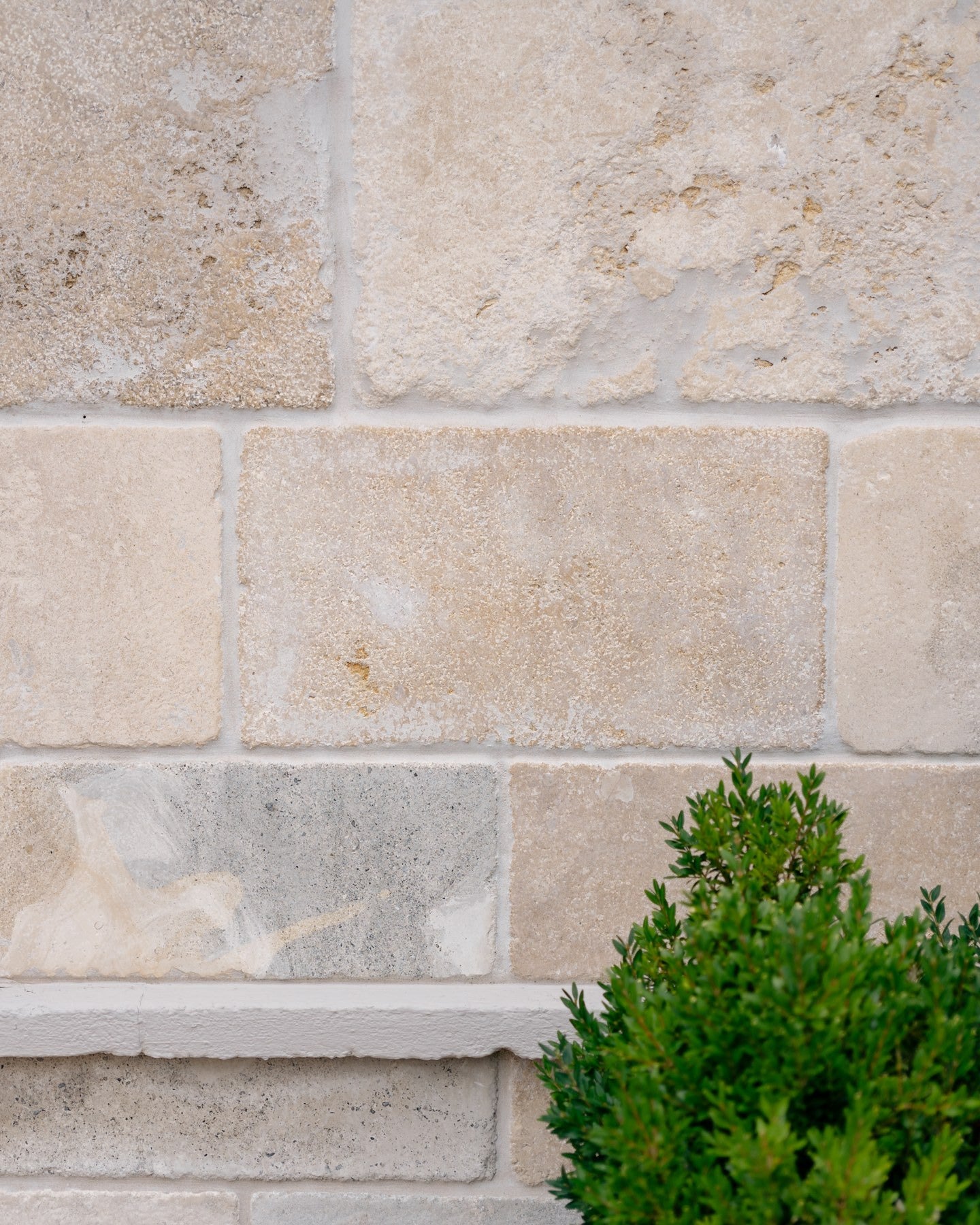 Vieux Bourgogne Limestone Ancient Finish