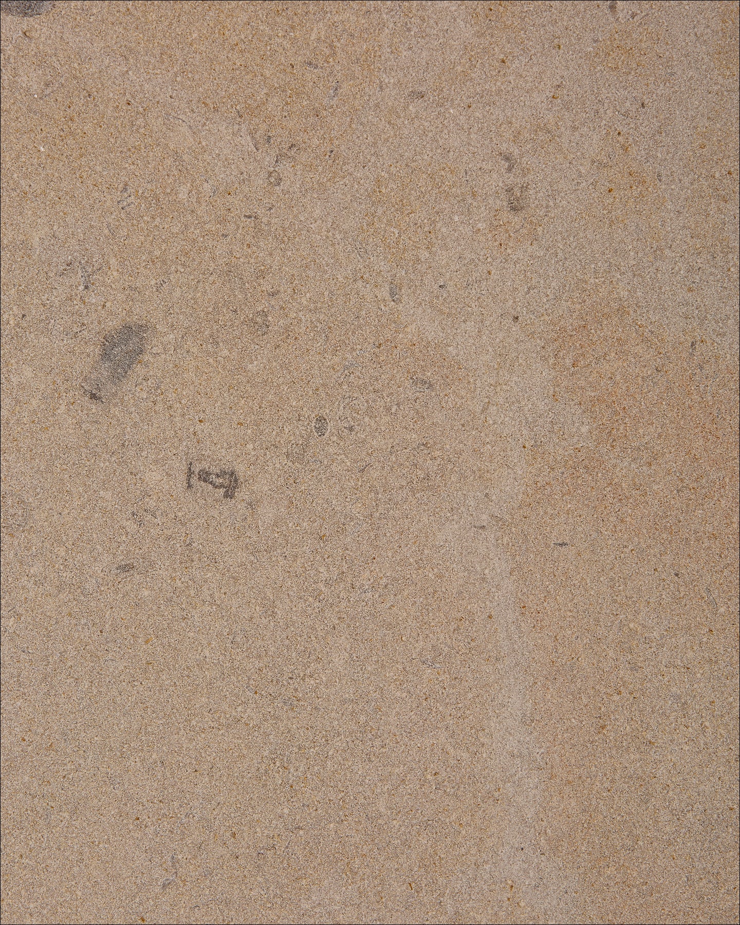 Buscot Limestone Dry Etched Slab