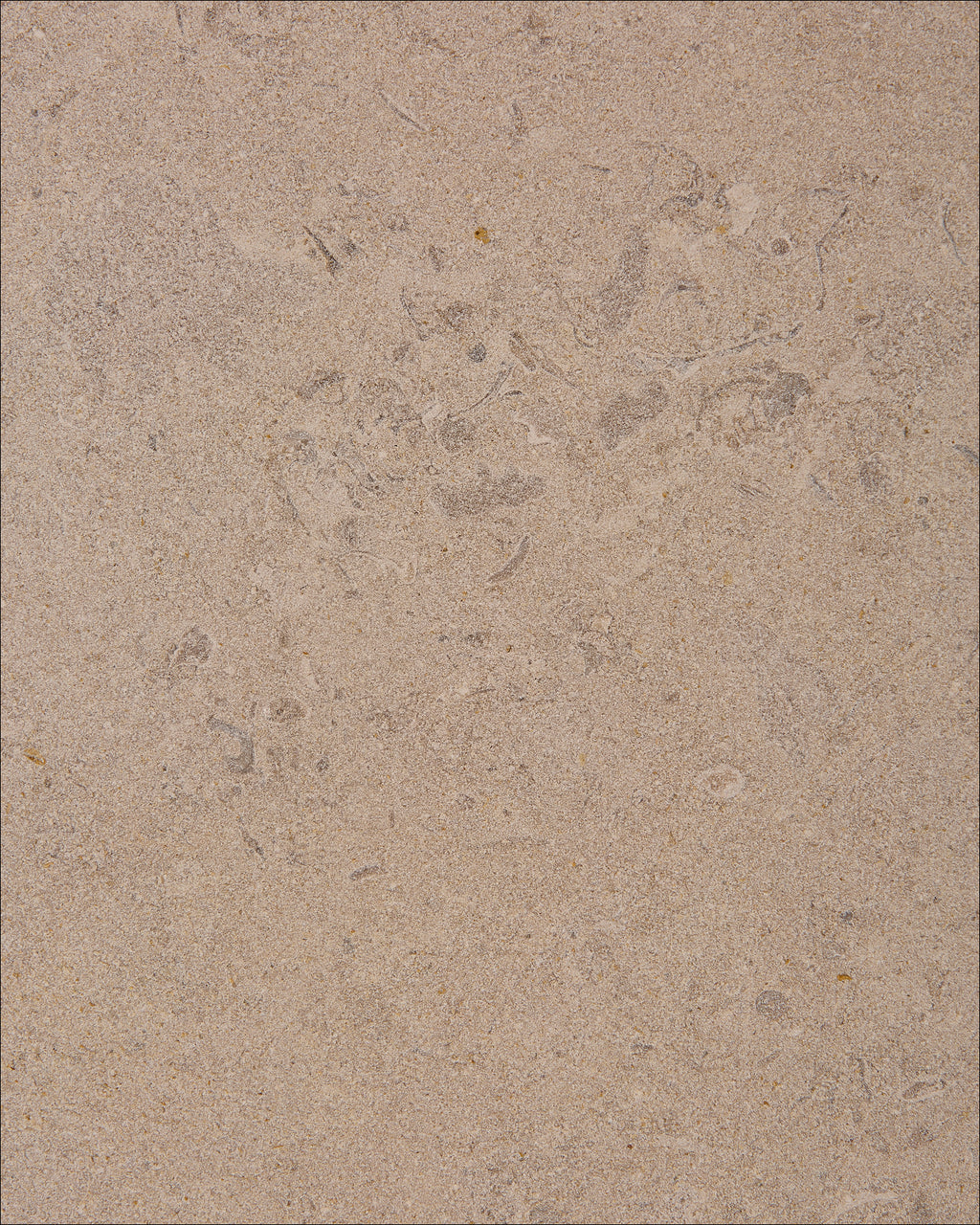 Buscot Limestone Dry Etched Slab