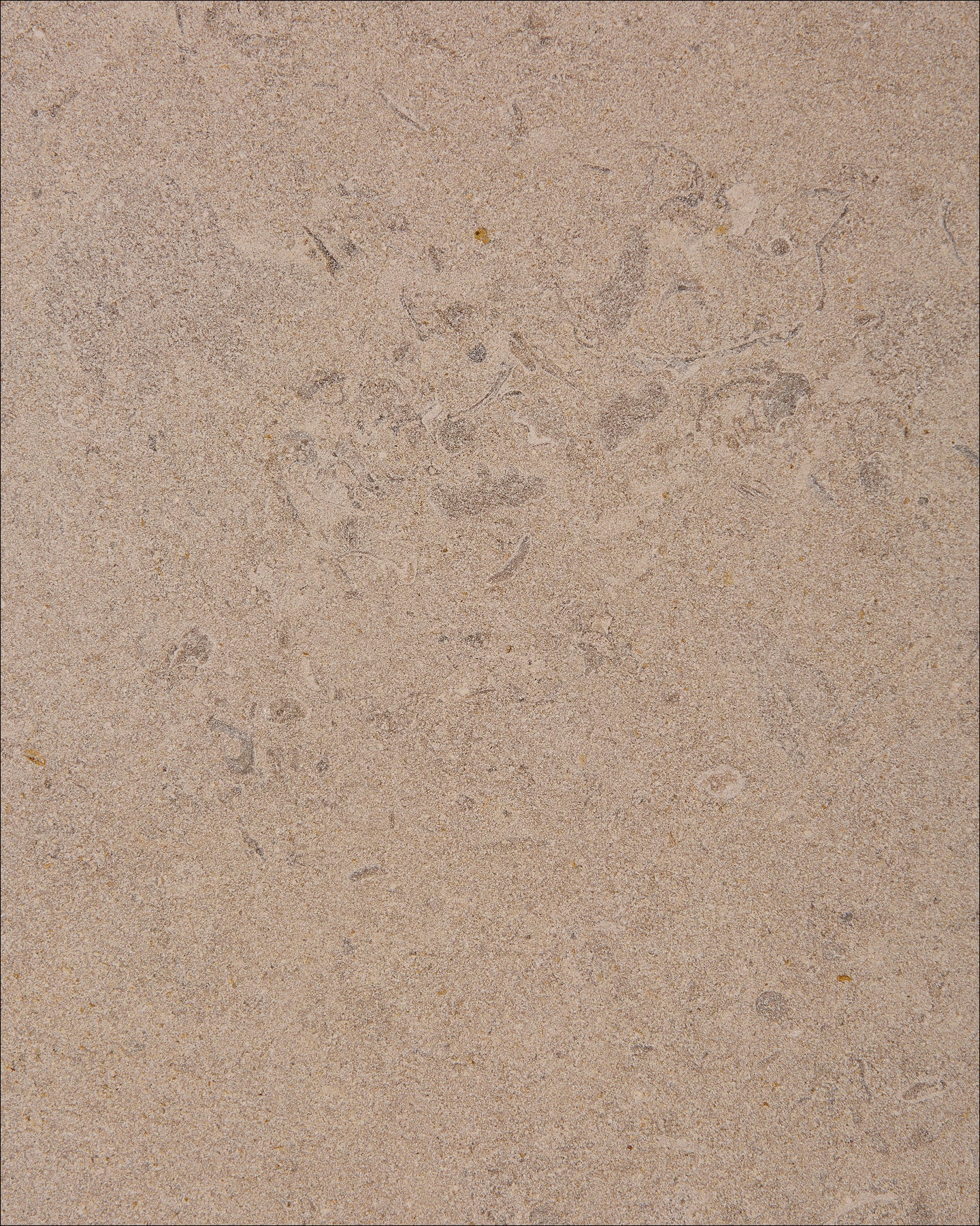 Buscot Limestone Dry Etched Slab