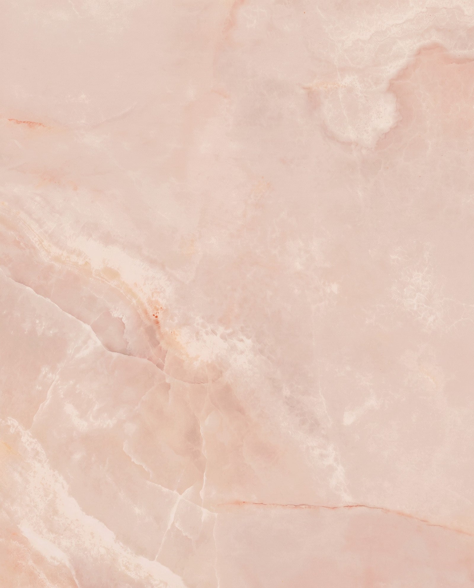 California Porcelain Rose