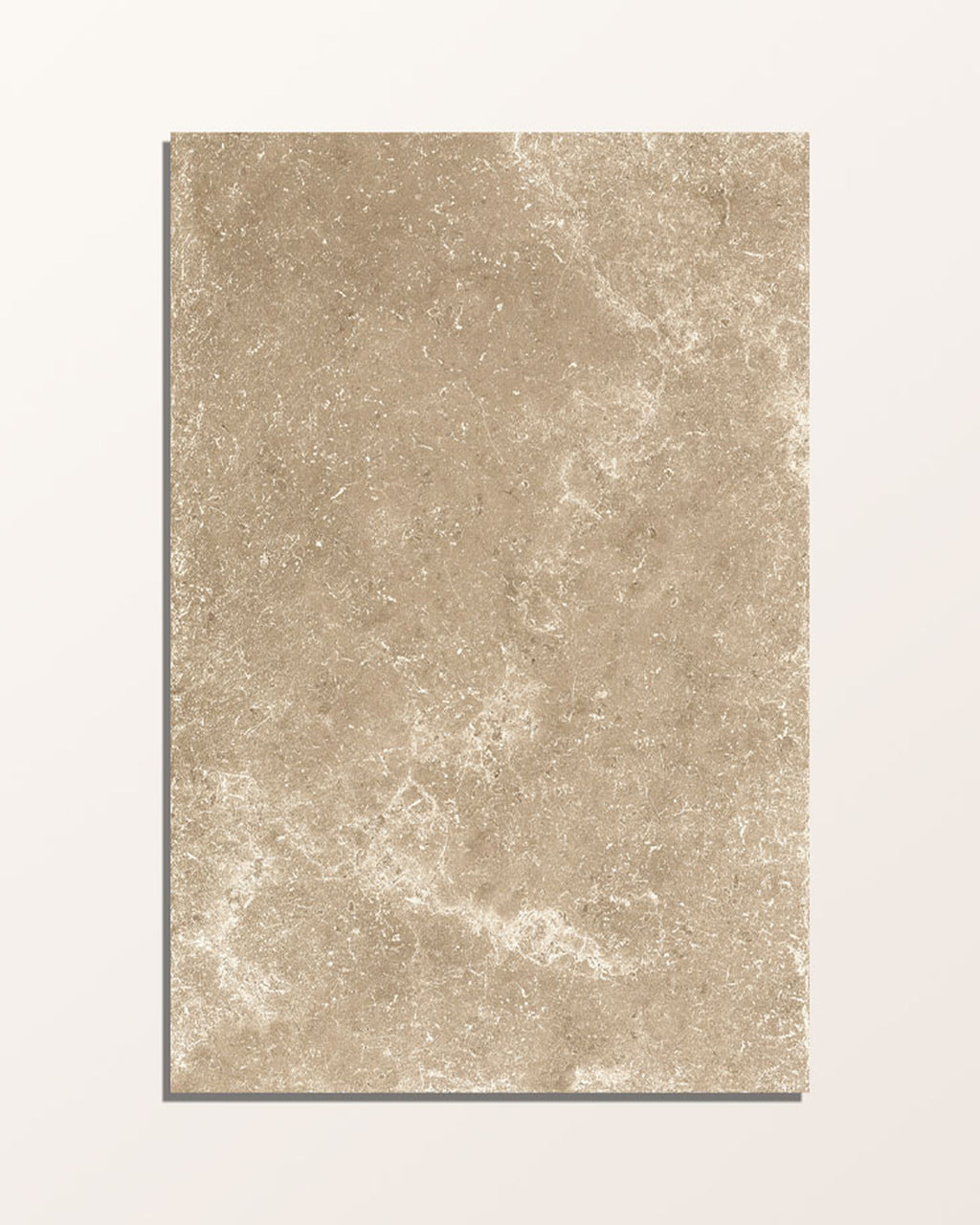 Cotehele Porcelain Beige