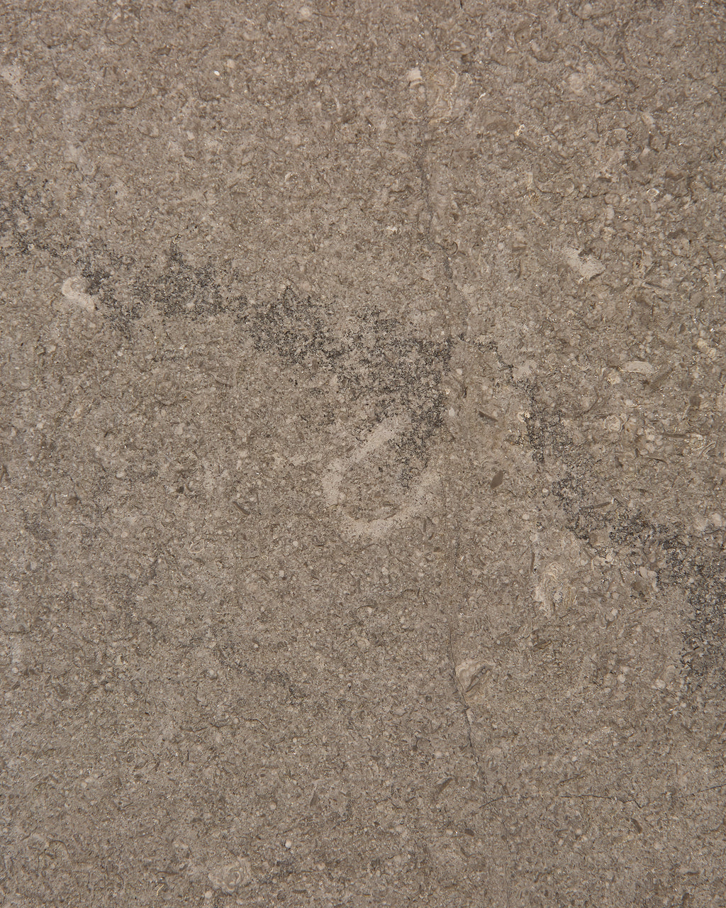 Kimmeridge Limestone Acid Etched Slab