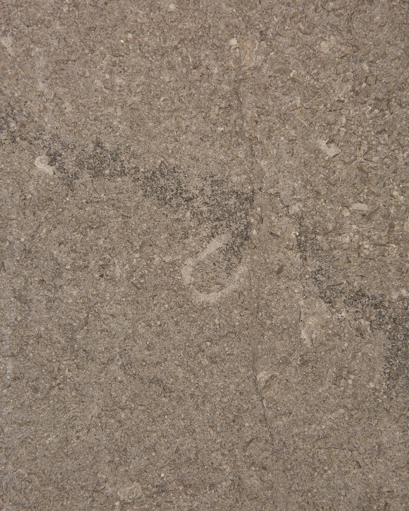 Kimmeridge Limestone Acid Etched Slab