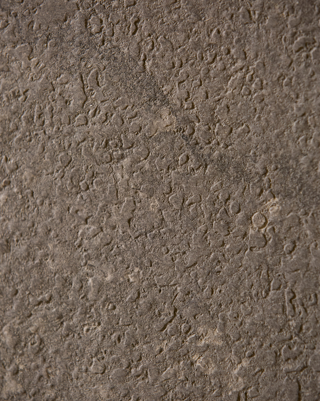 Kimmeridge Limestone Acid Etched Slab