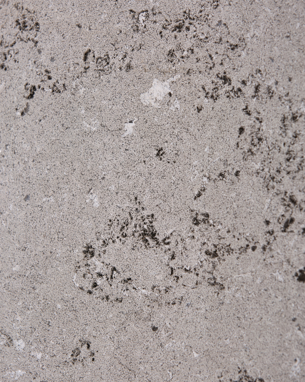 Kimmeridge Limestone Dry Etched Slab
