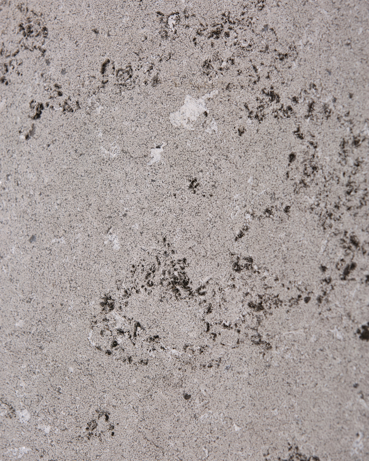 Kimmeridge Limestone Dry Etched Slab