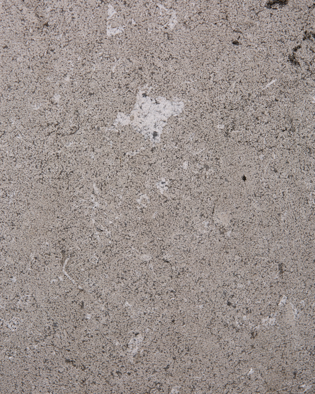 Kimmeridge Limestone Dry Etched Slab