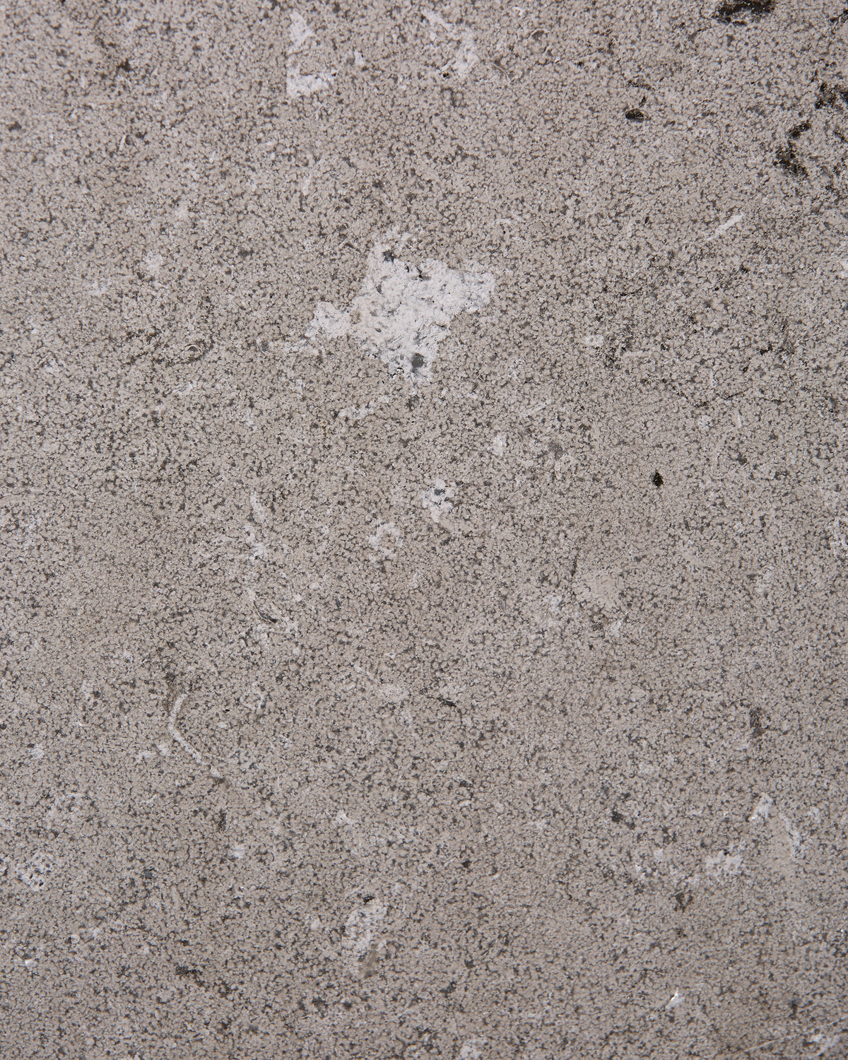 Kimmeridge Limestone Dry Etched Slab